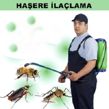 Yeşilli Böcek İlaçlama